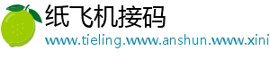 纸飞机接码